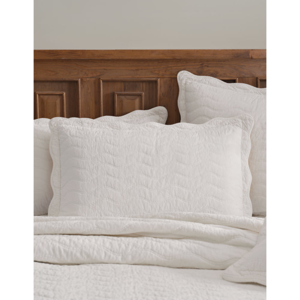 Private Collection Indiana Pillowcase Sham Ivory Standard Pair