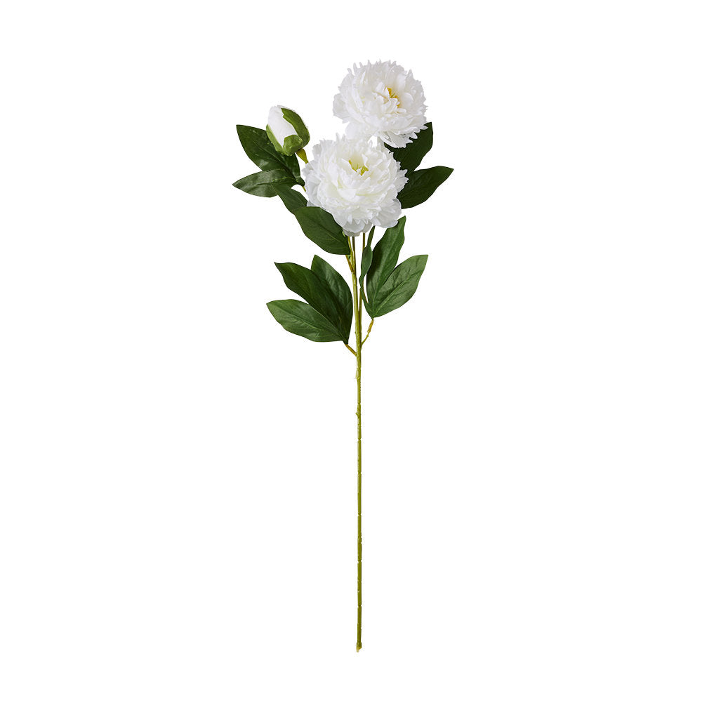 MyHouse Peony Spray 65cm