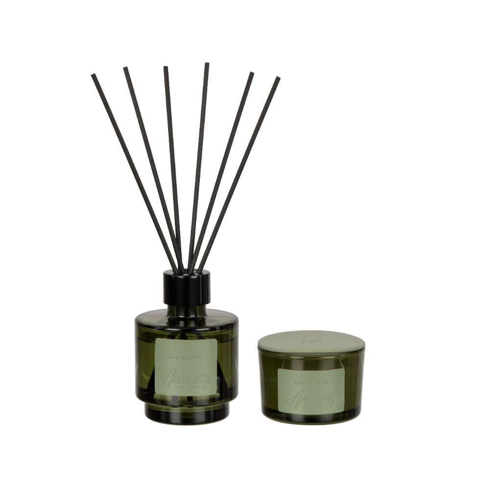 Academy Oak Forest Fragrance Set