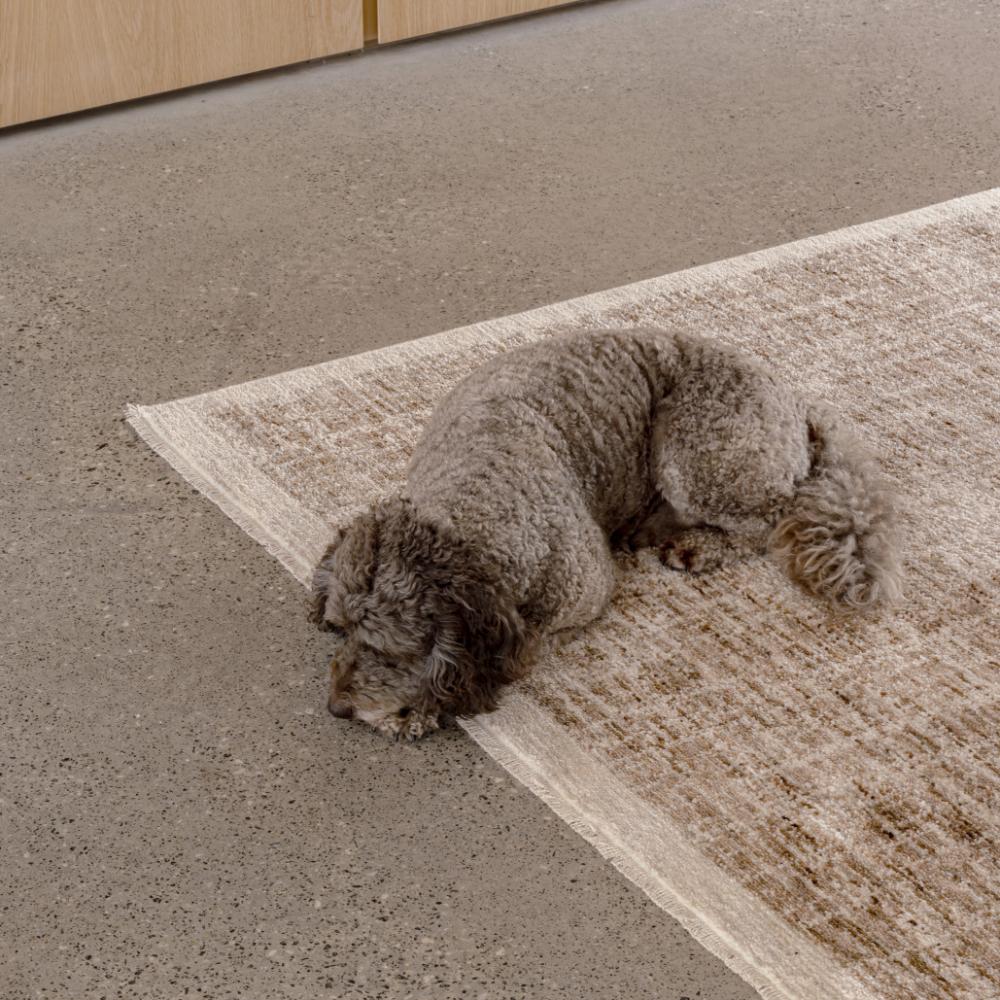 STEPH & GIAN Meadow Runner