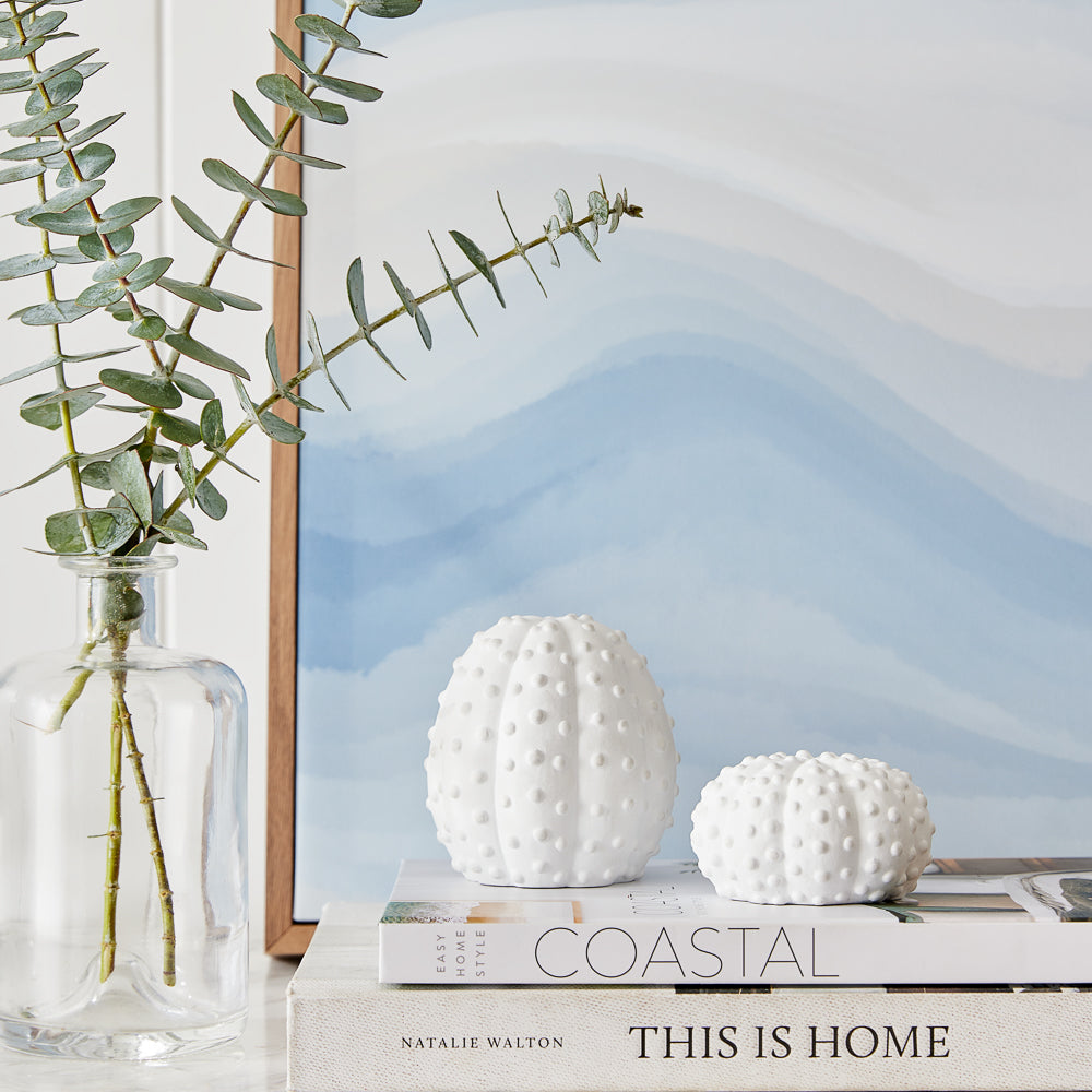 Deborah Hutton Coral Decor