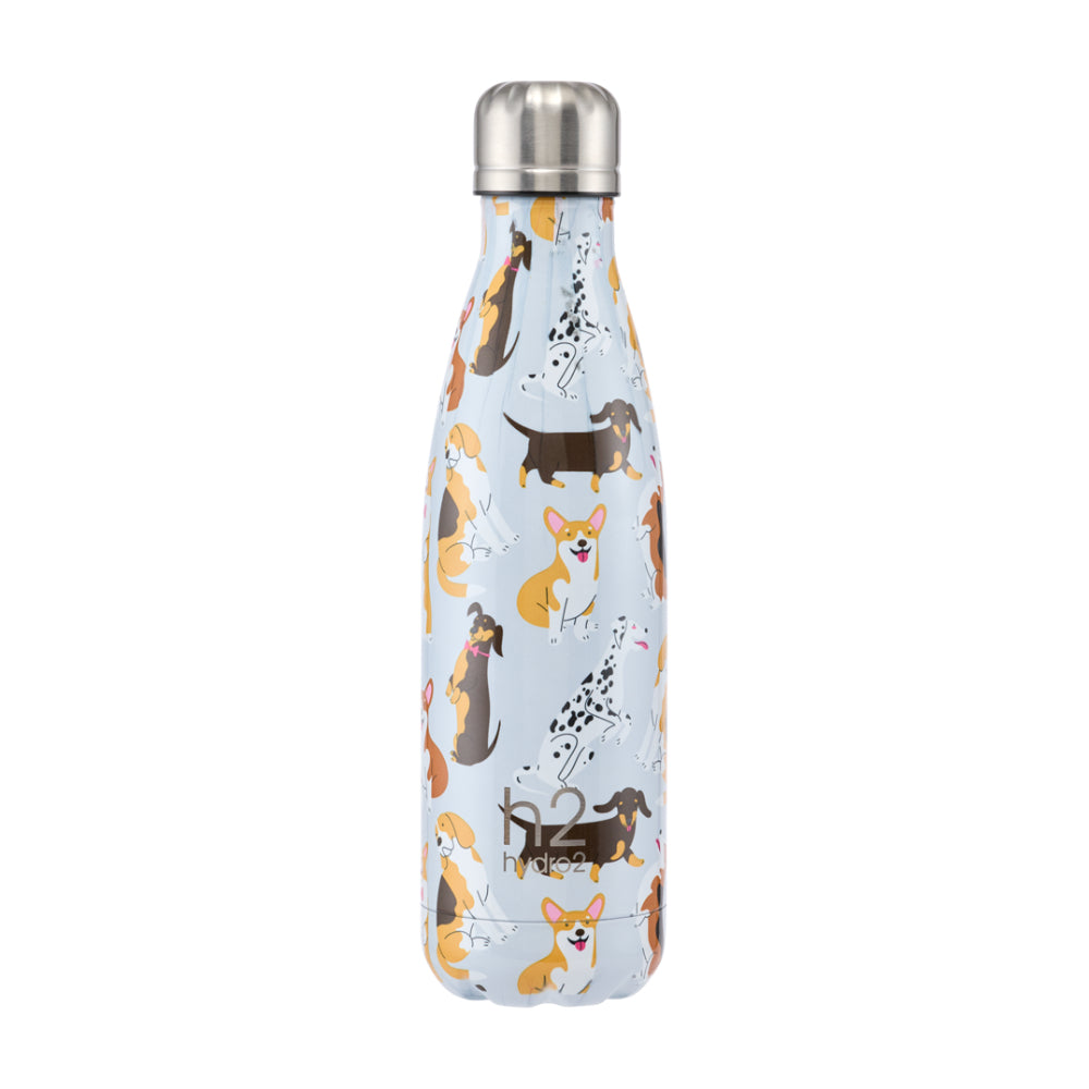 h2 hydro2 Quench Stainless Steel Water Bottle 500ml