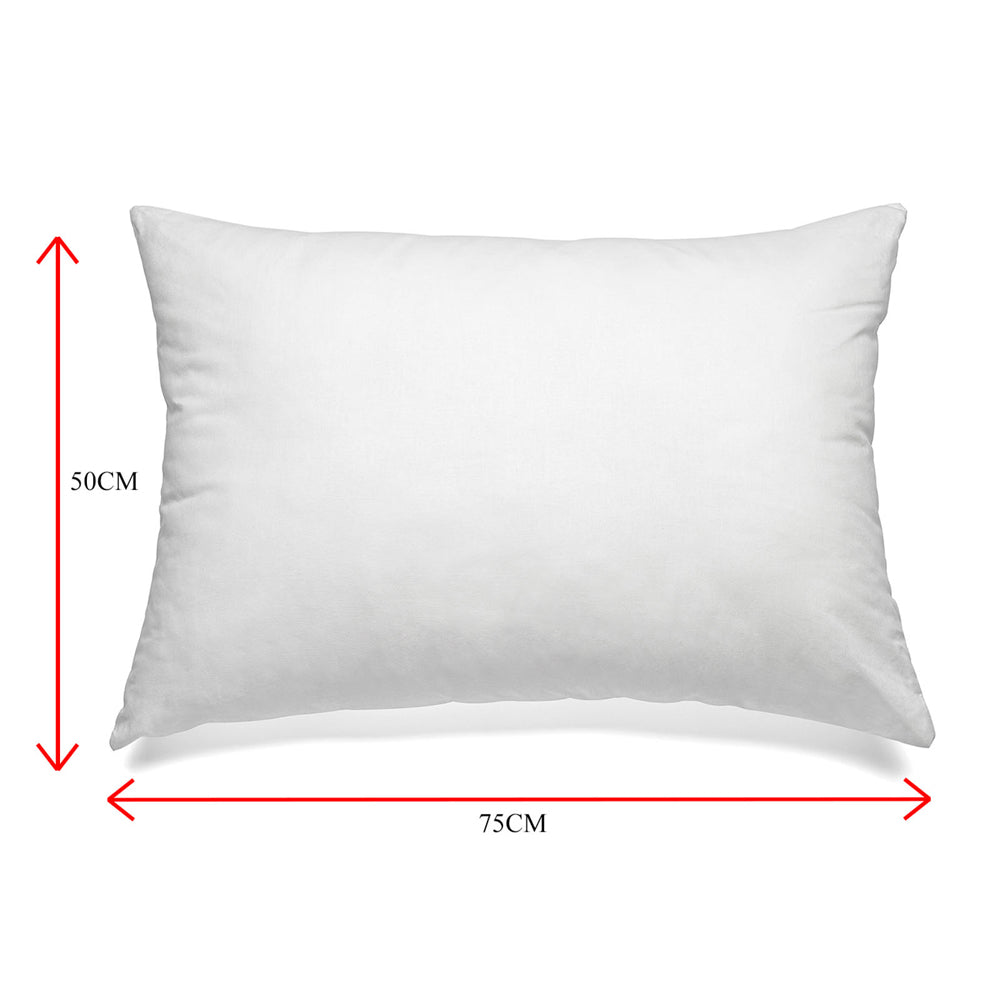 Royal Comfort 1000GSM Goose Feather & Down Pillow Twin Pack 50 x 75cm