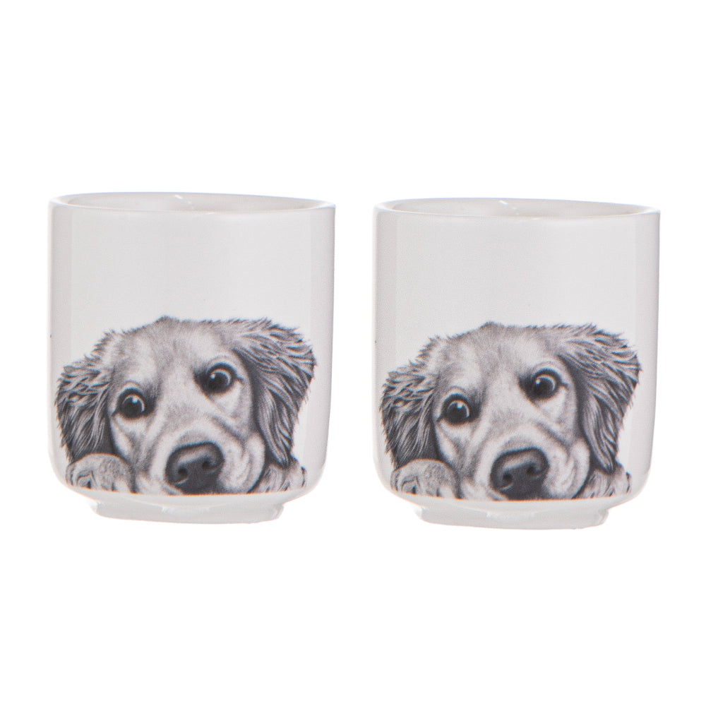 Ashdene Peeking Pups Golden Retriever Set of 2 Egg Cups