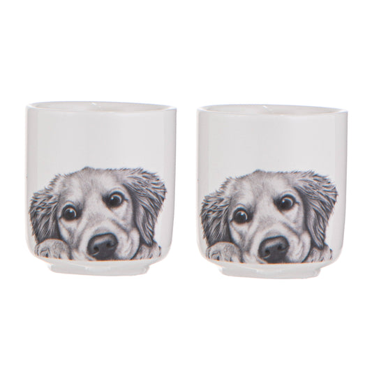 Ashdene Peeking Pups Golden Retriever Set of 2 Egg Cups