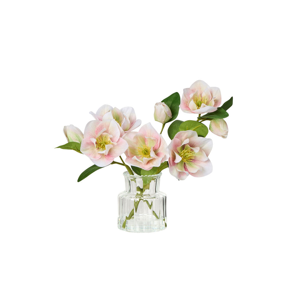 Rogue Helleborus Glass Vase