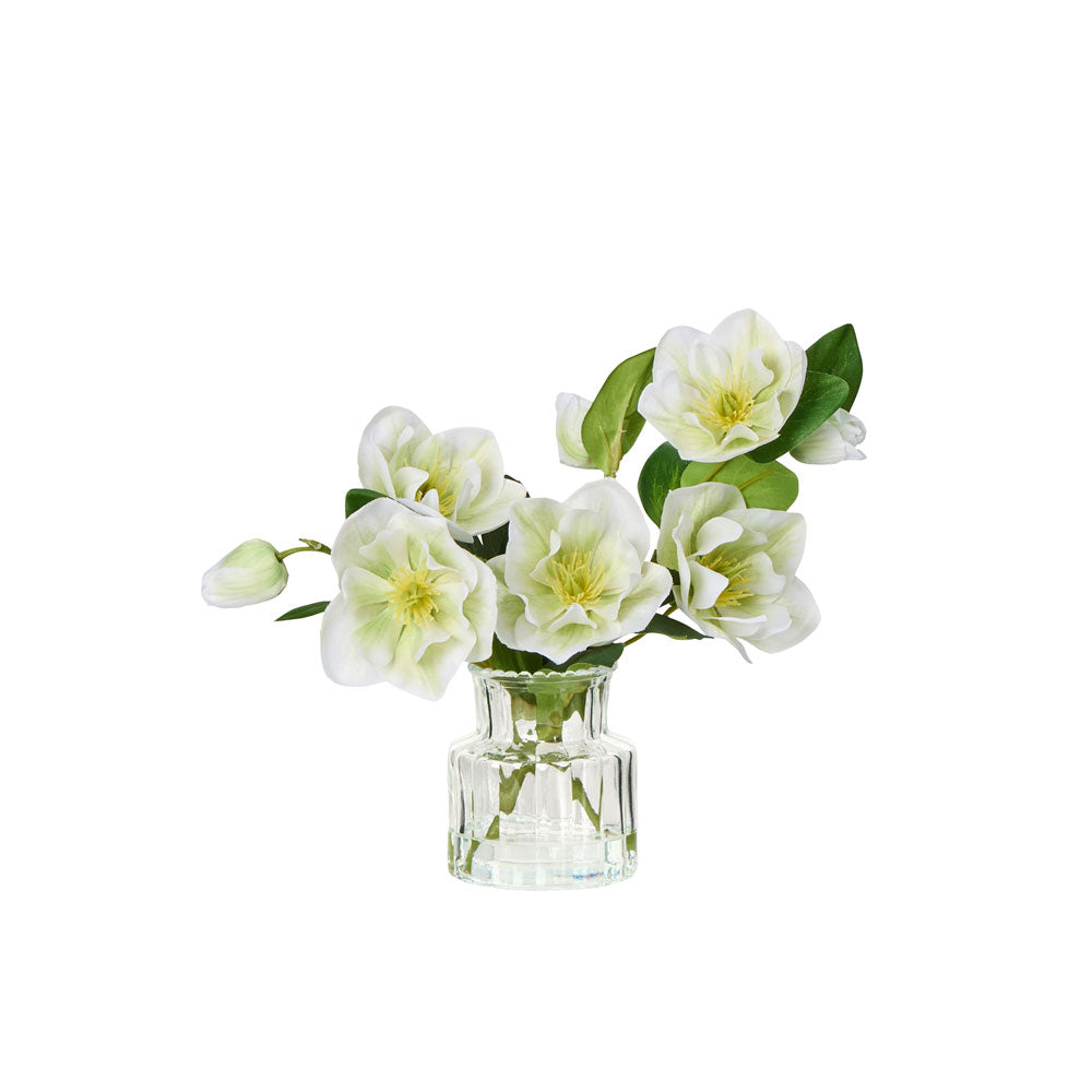 Rogue Helleborus Glass Vase