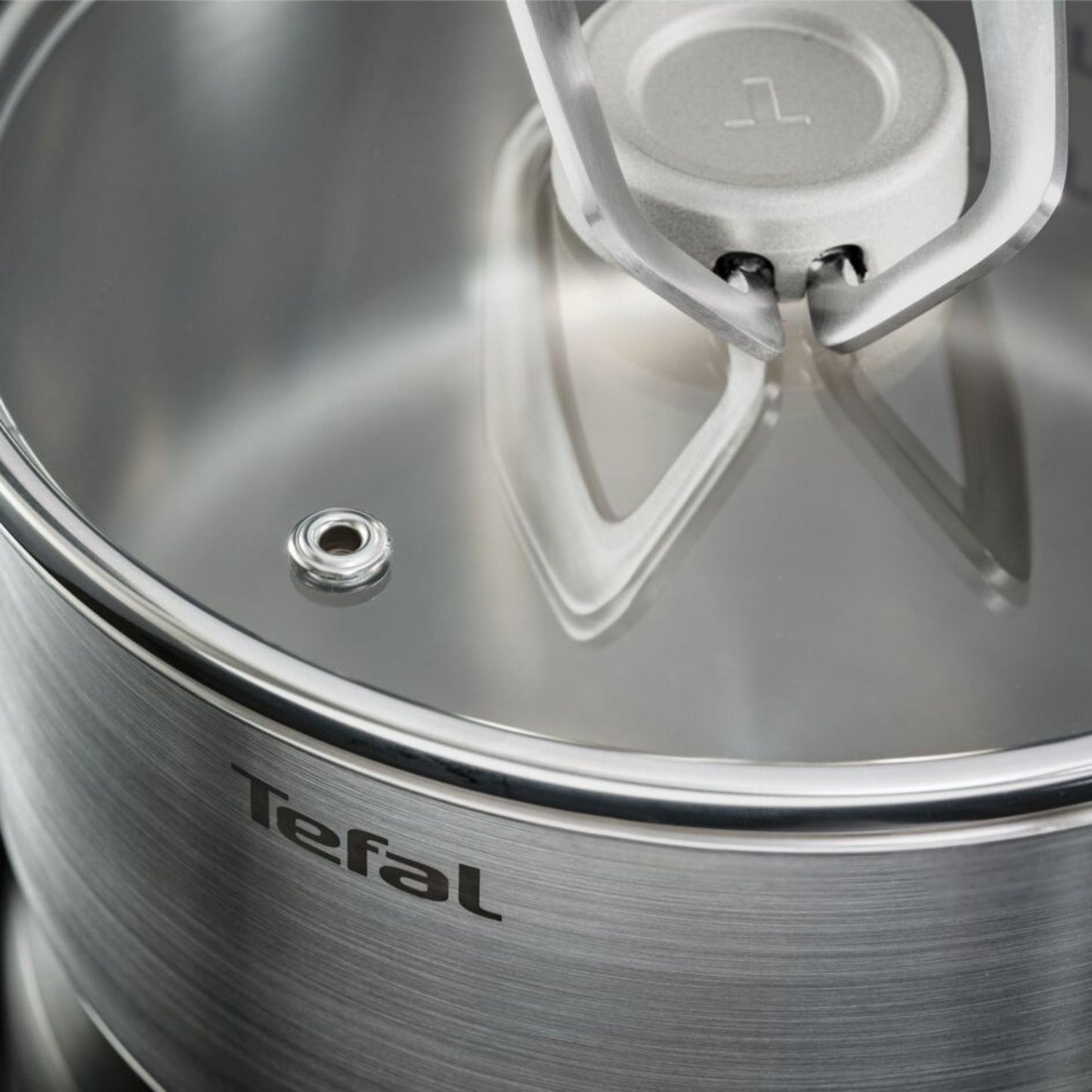 Tefal Space+ Extreme Induction Stainless Steel Stewpot 20cm & Lid