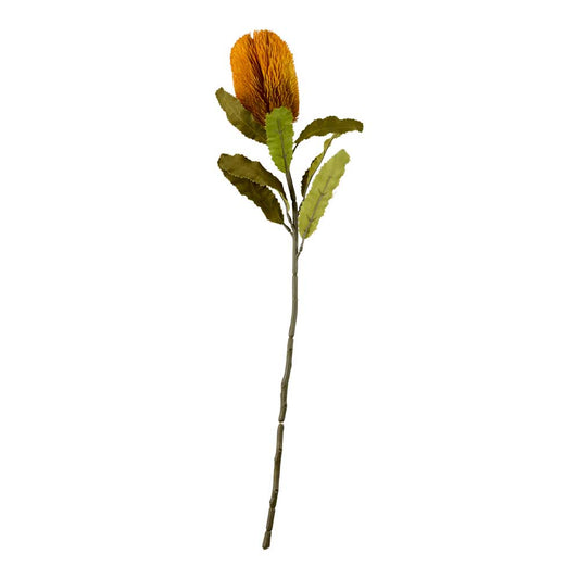 MyHouse Orange Banksia 65cm