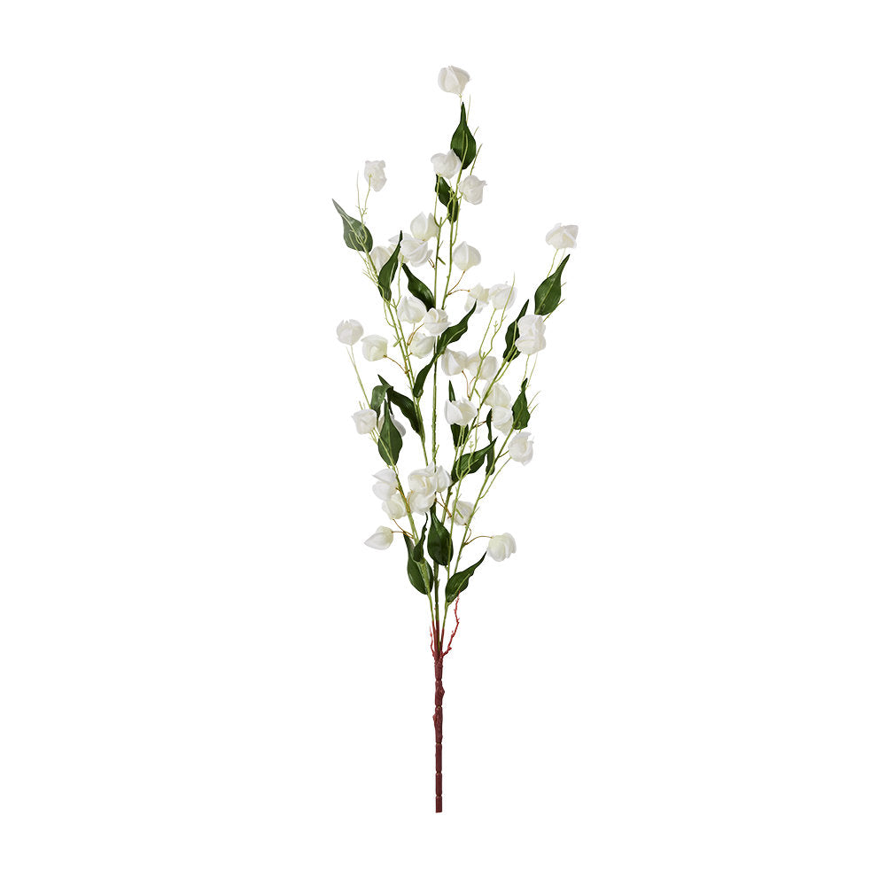 MyHouse Physalis Peruviana Spray 78cm