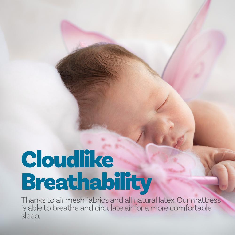 Eco Lux Euro-Top Pocket Spring Mattress