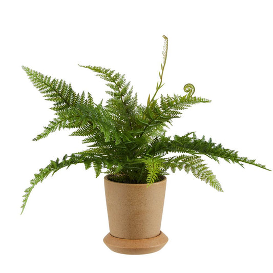 Rogue Bracken Fern-Panora Pot