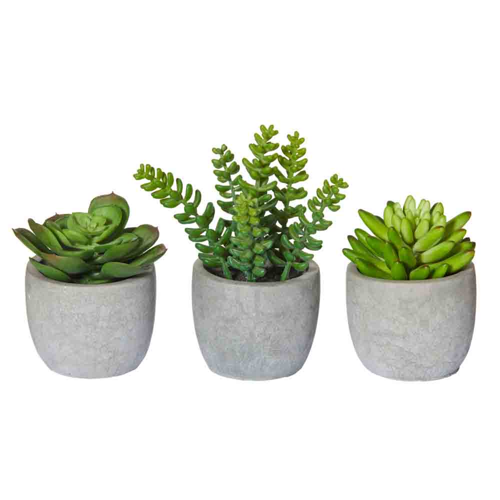 Rogue Set of 3 Succulent-Cement Pots