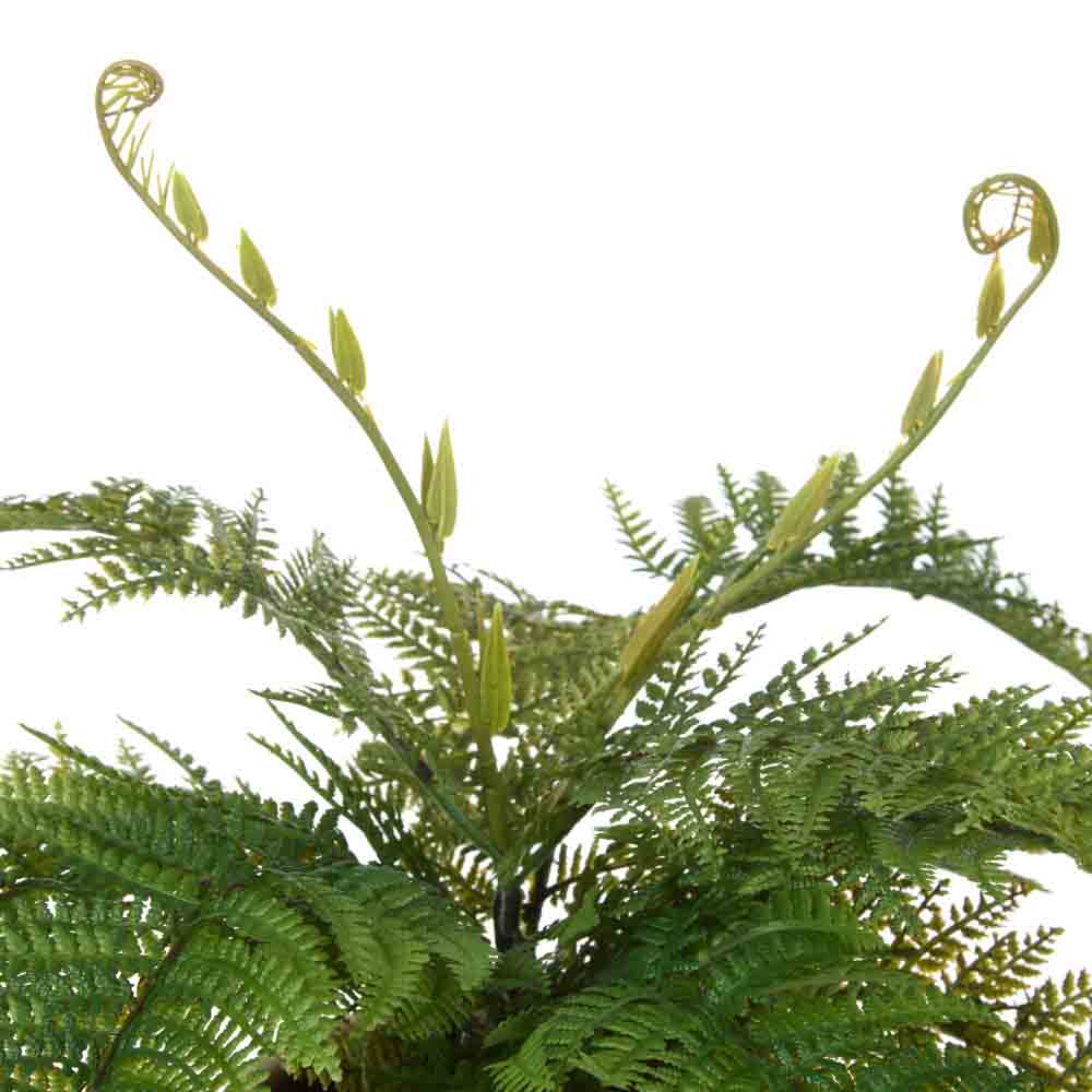 Rogue Bracken Fern-Tub Pot