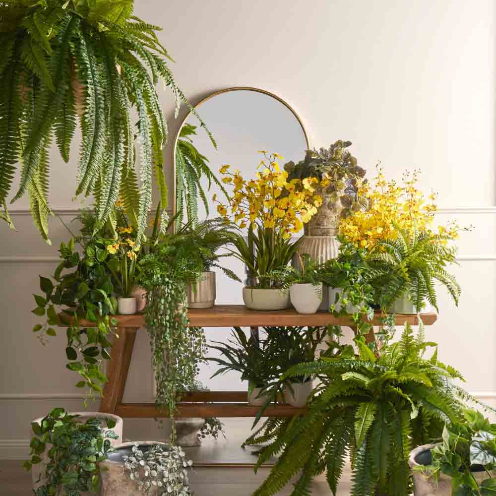 Rogue Bracken Fern-Tub Pot