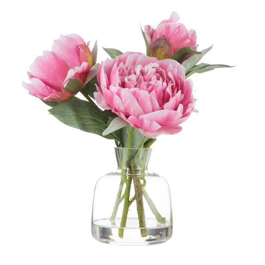 Rogue Peony Stem-Clear Glass Vase