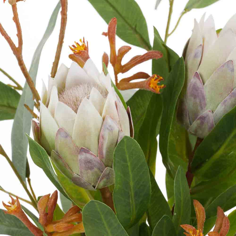 Rogue Protea Kangaroo Paw-Pauline Vase