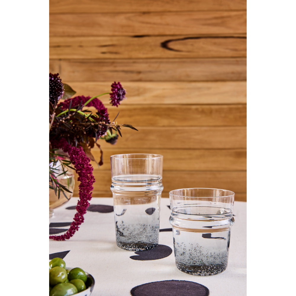 Ecology Dion Set of 4 Hi Ball Tumblers