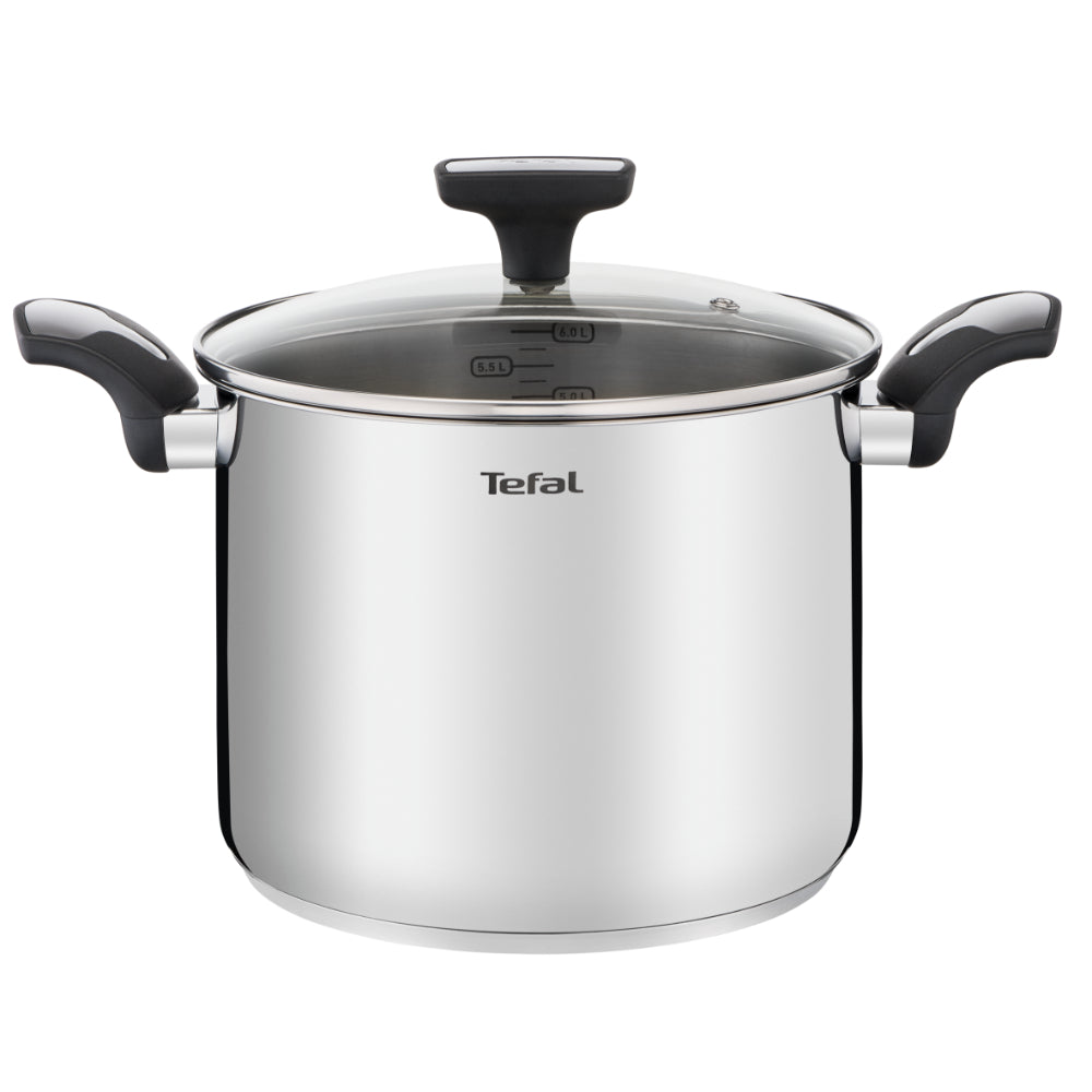 Tefal Emotion Induction Stainless Steel Stock Pot 6.2L