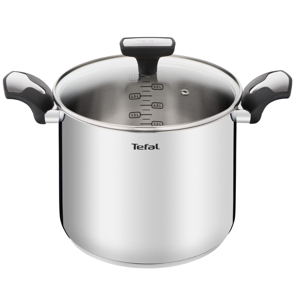 Tefal Emotion Induction Stainless Steel Stock Pot 6.2L