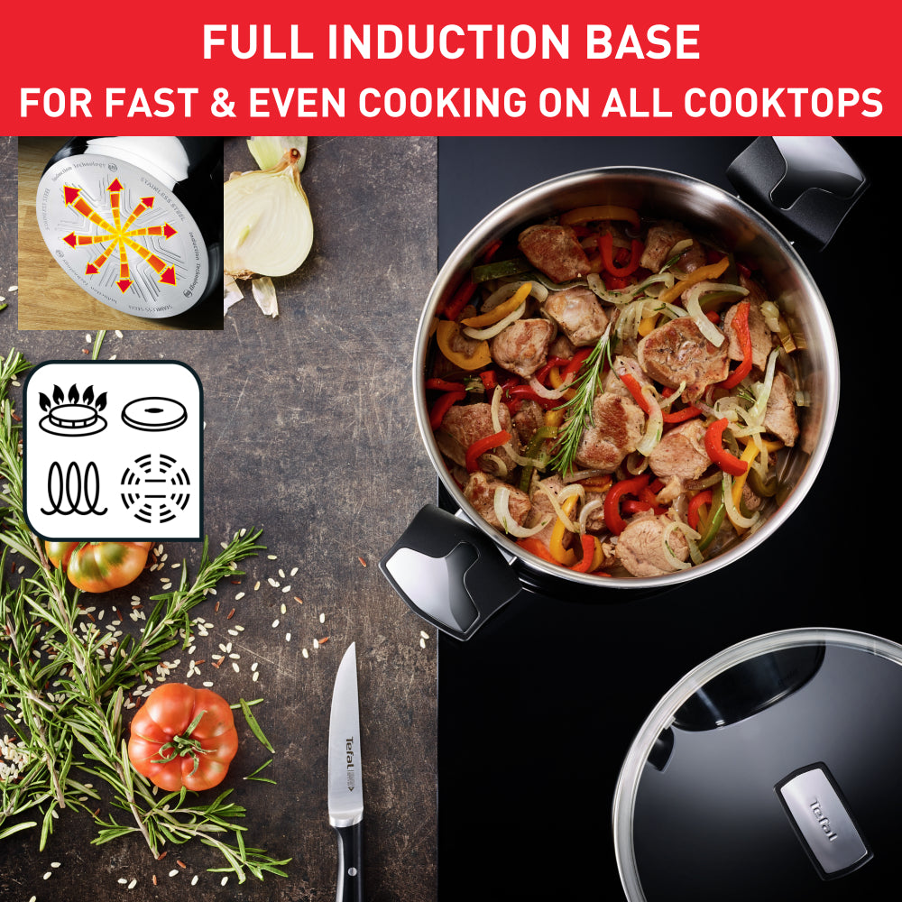 Tefal Emotion Induction Stainless Steel Stock Pot 9L