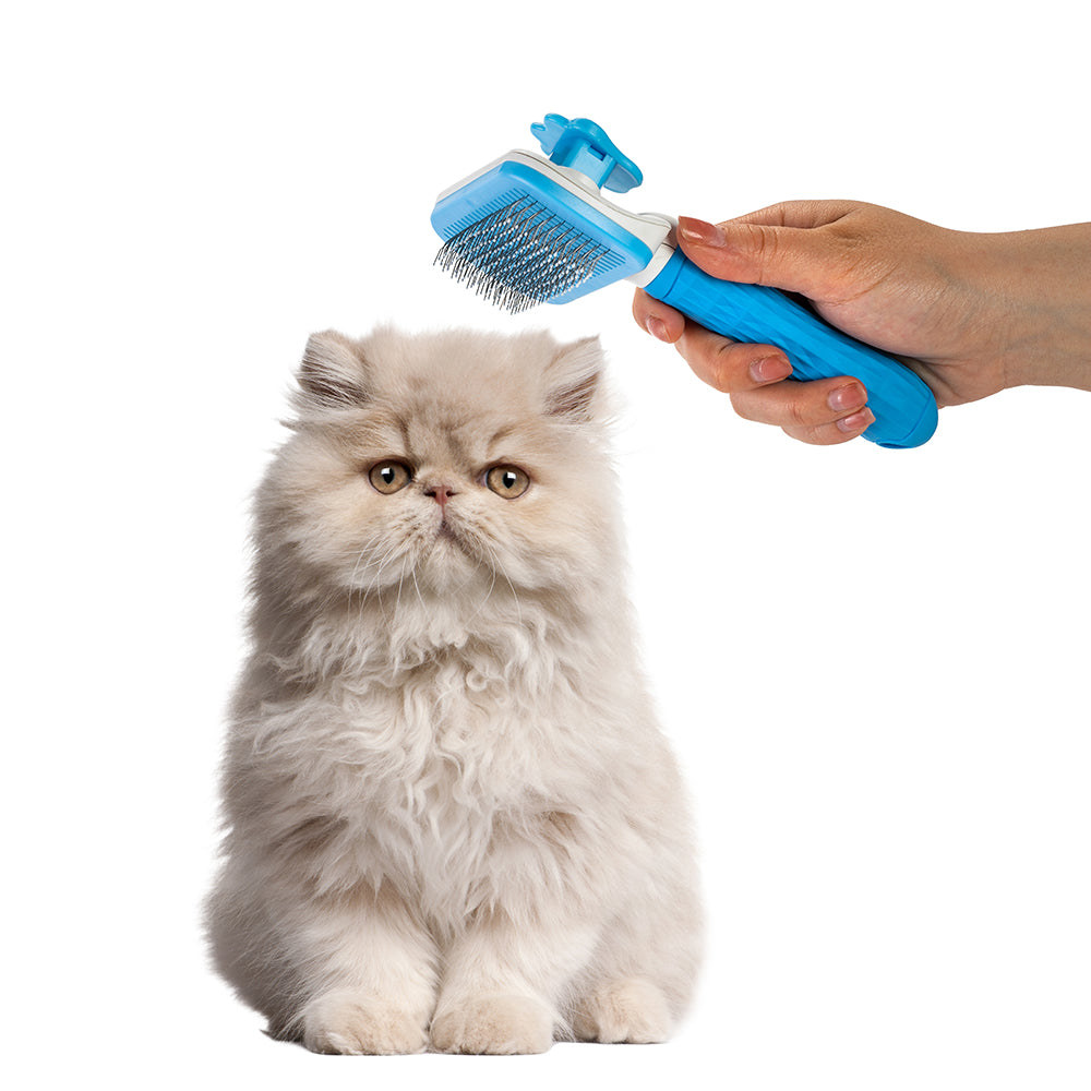 Nice Paws Wire Brush - Designs May Vary