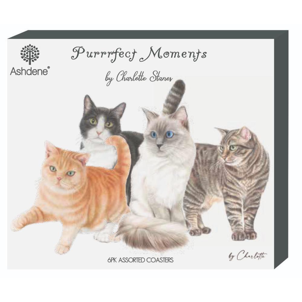 Ashdene Purrrfect Moments Set of 6 Coasters