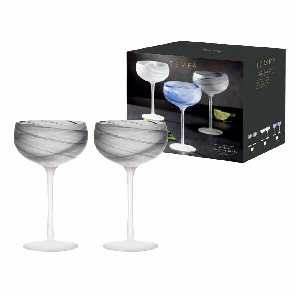 Tempa Skylar Set of 2 Cocktail Glasses