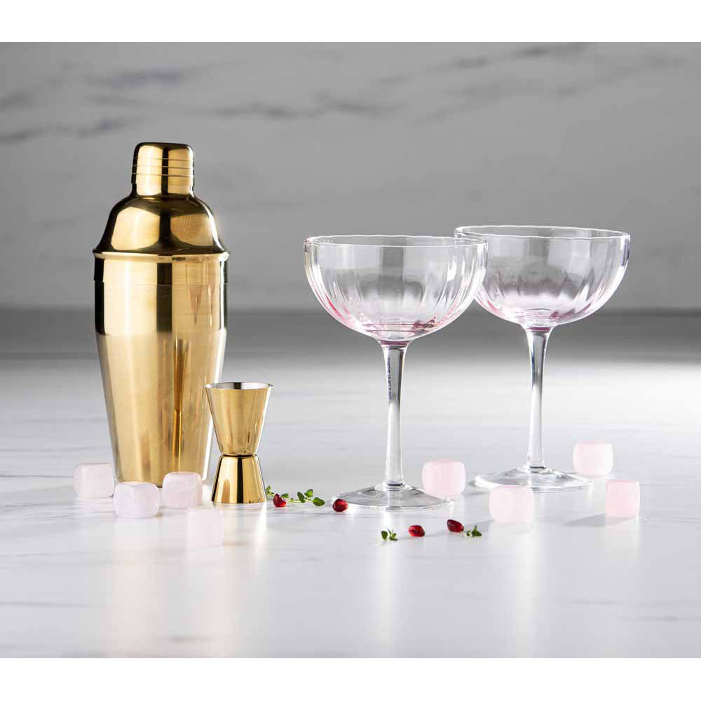 Tempa Leila 12 Piece Cocktail Set