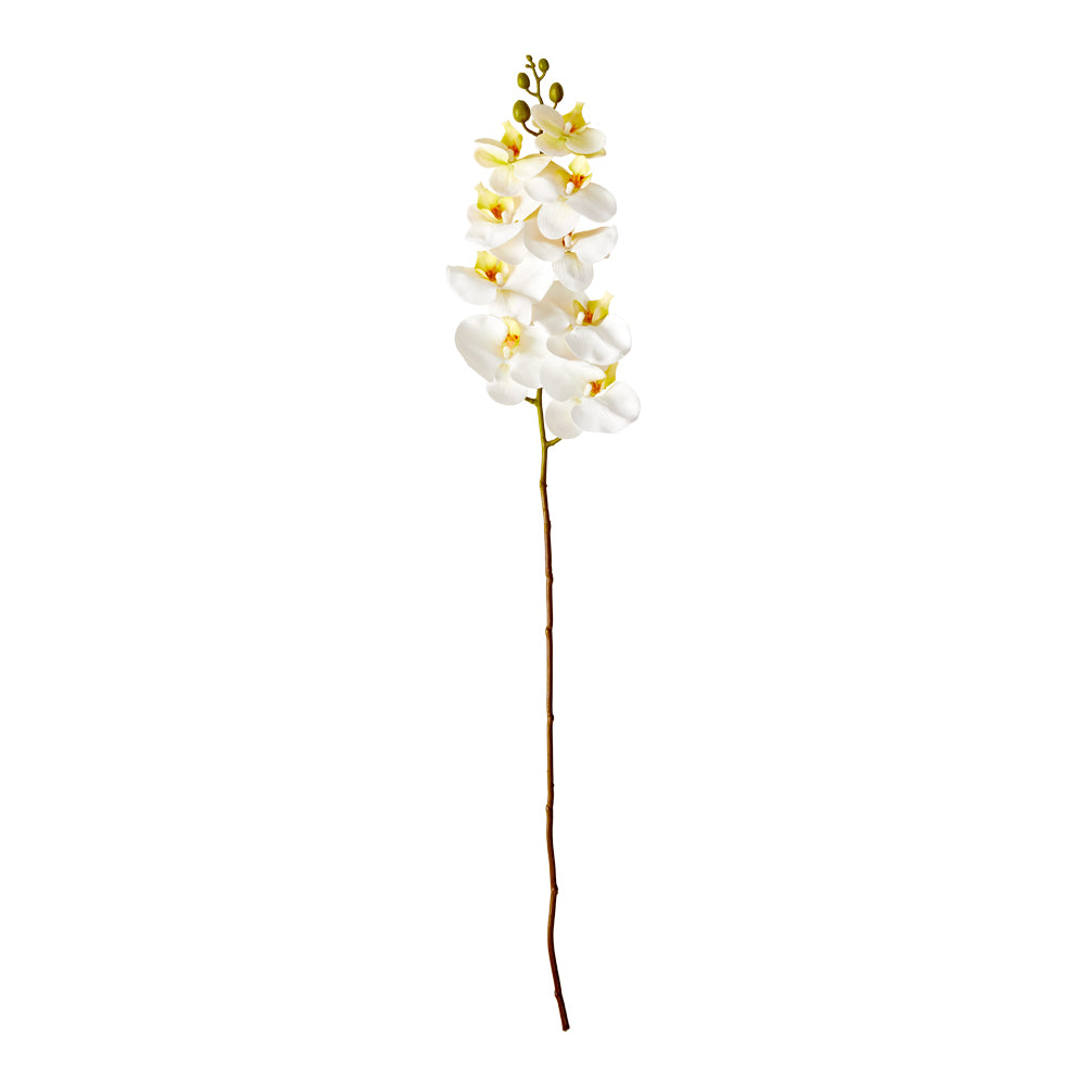 MyHouse Orchid Stem