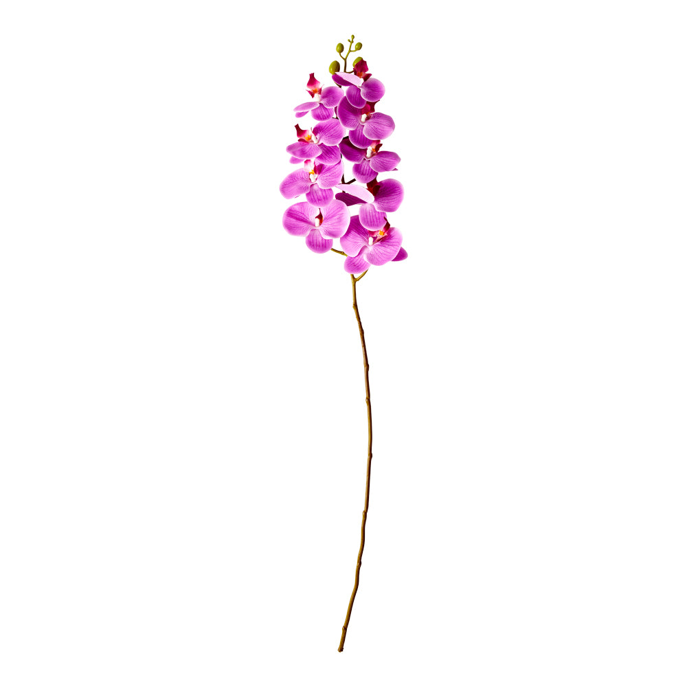 MyHouse Orchid Stem