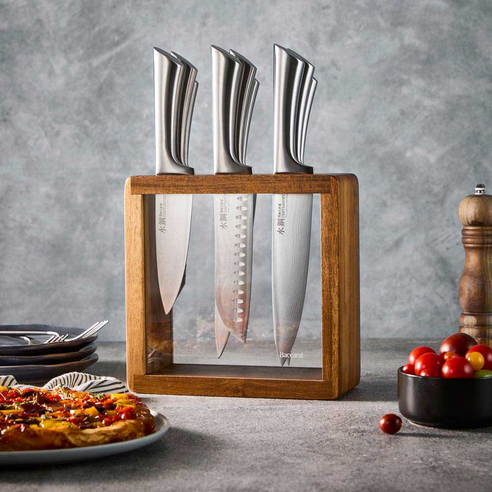 Baccarat Damashiro Hiryu 10 Piece Knife Block