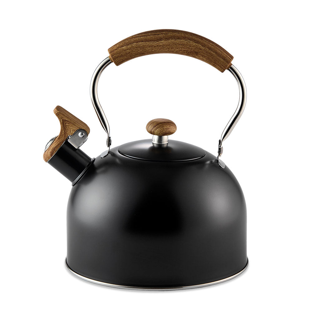 Baccarat Barista Tea House Italico Kettle 2.5L Black at House