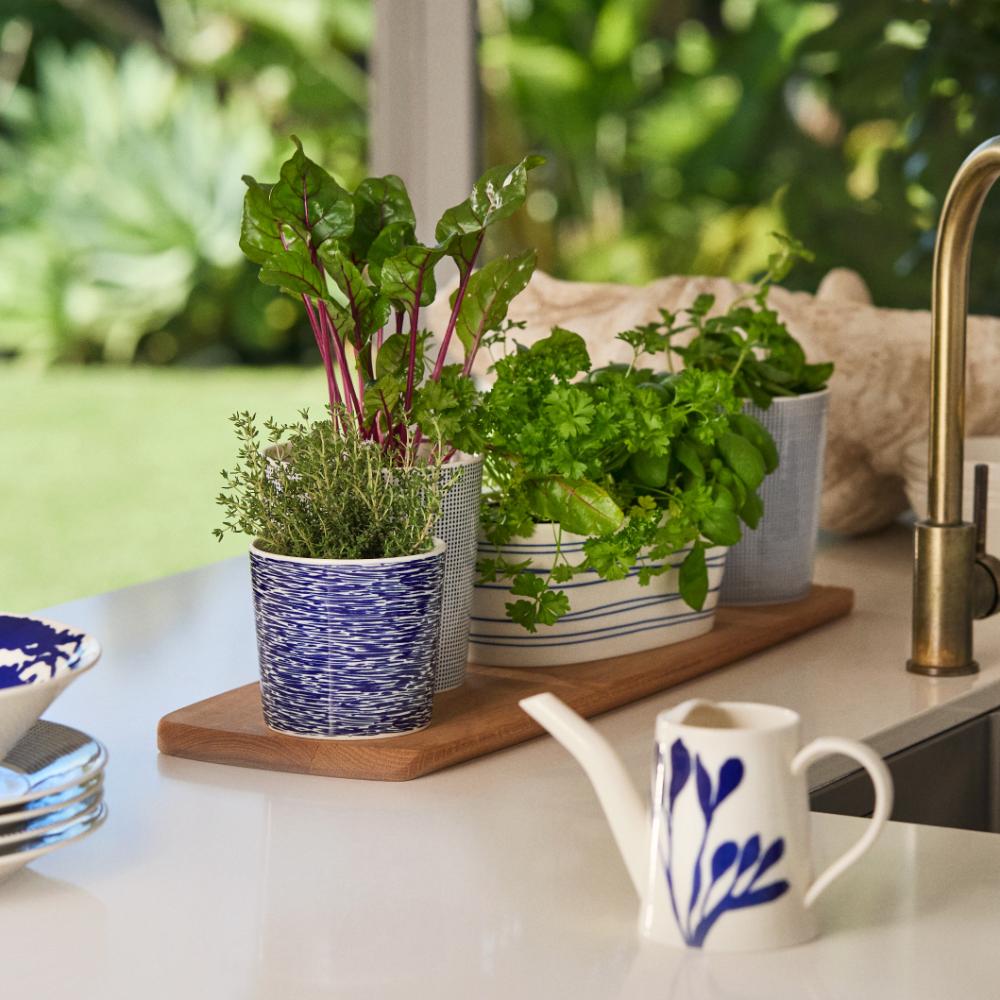 Royal Doulton Pacific Small Planter 14cm Blue
