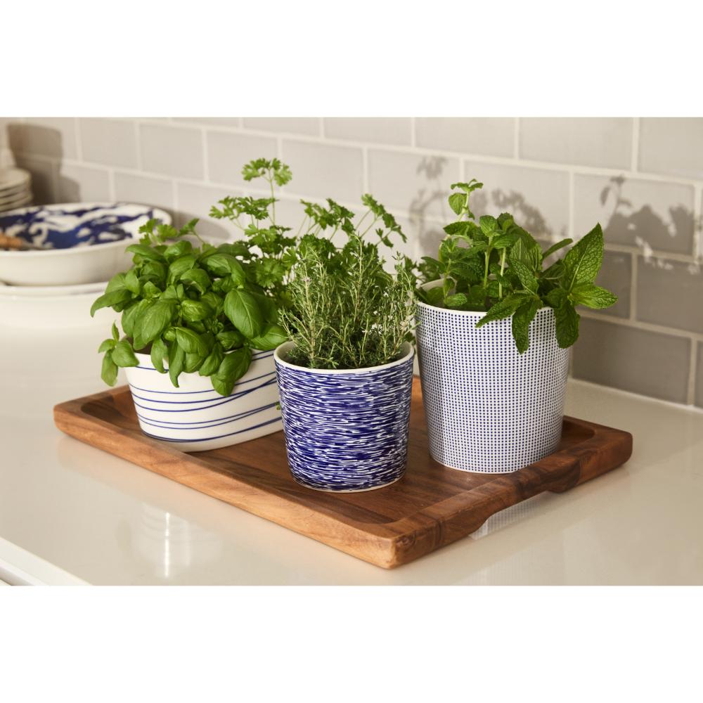 Royal Doulton Pacific Small Planter 14cm Blue