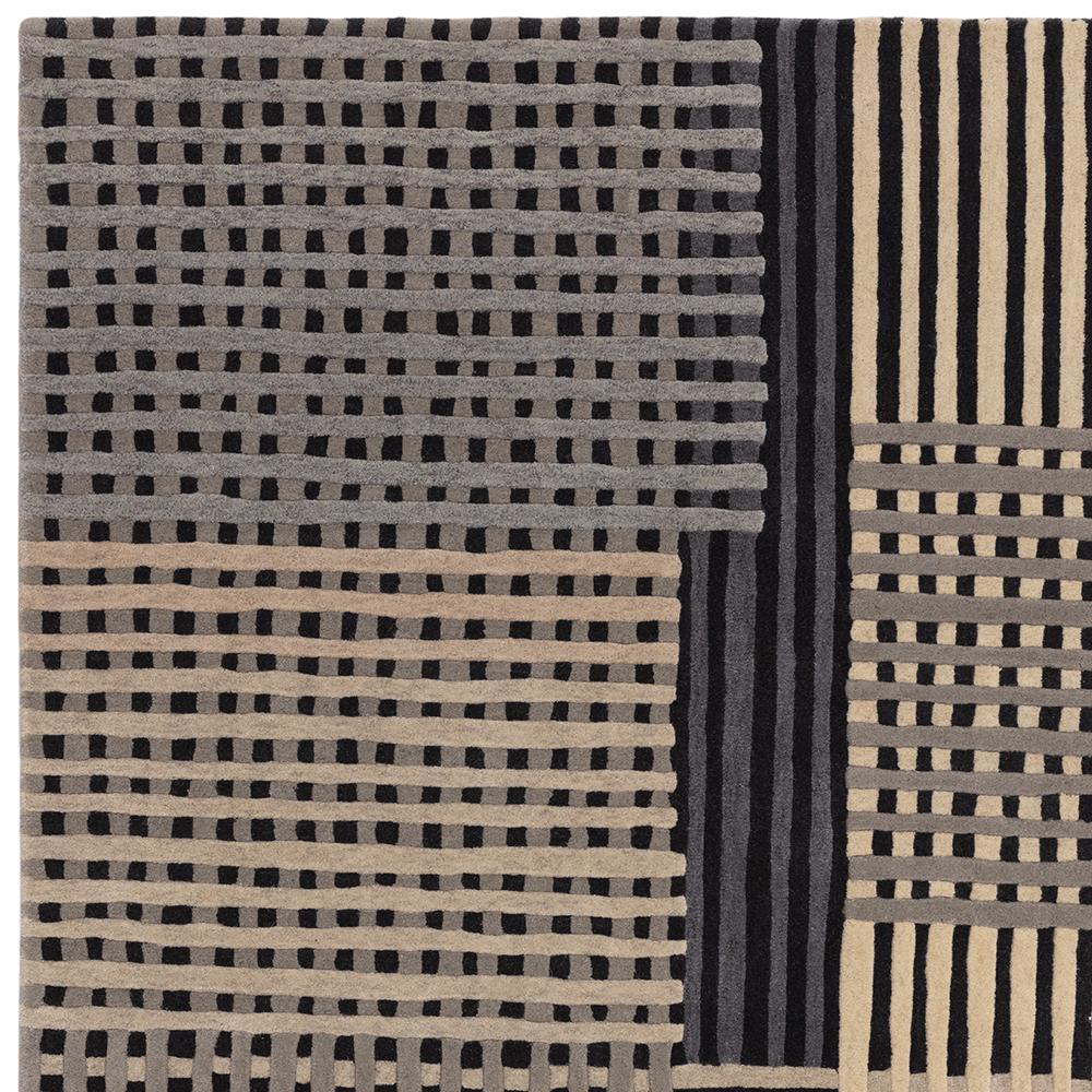 Asiatic Aspect Rug in Grey