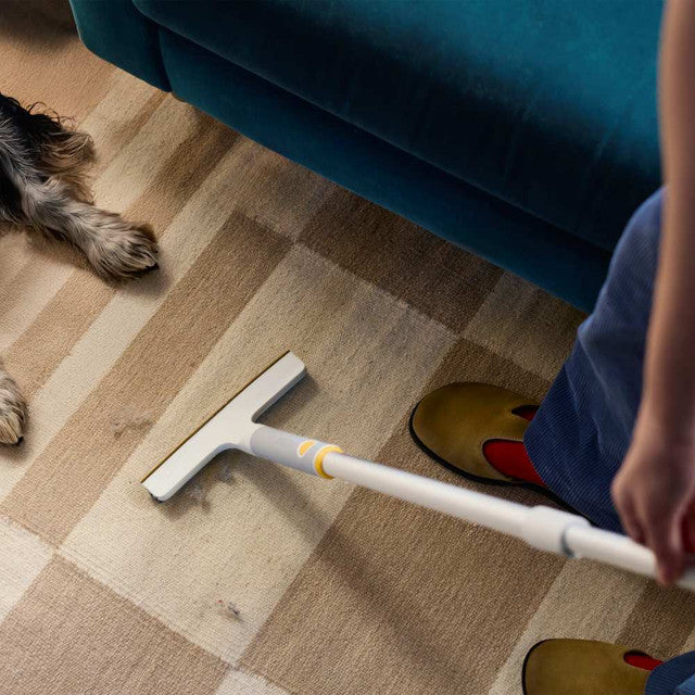 Joseph Joseph CleanTech 2 in 1 Carpet Cleaning Tool