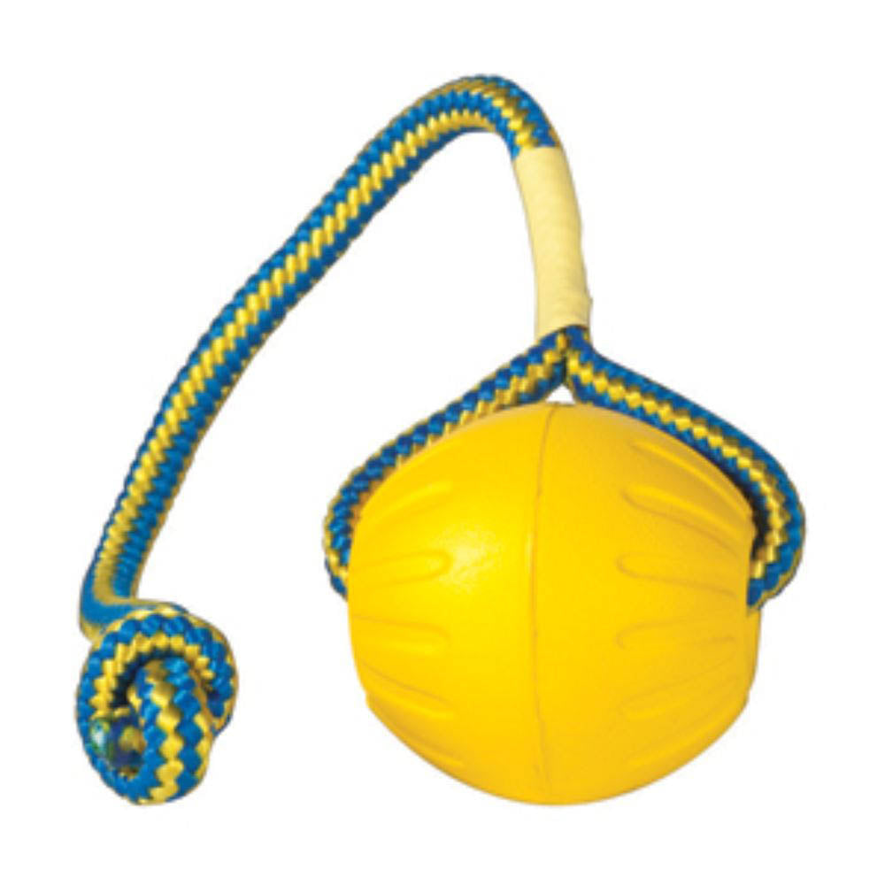 Starmark Swing & Fling Fetch Ball Dog Toy