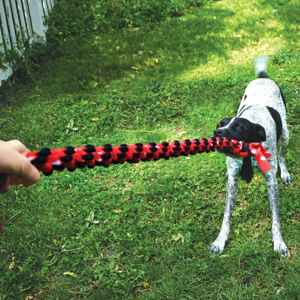 KONG Signature Rope Double Tug Dog Toy 55cm