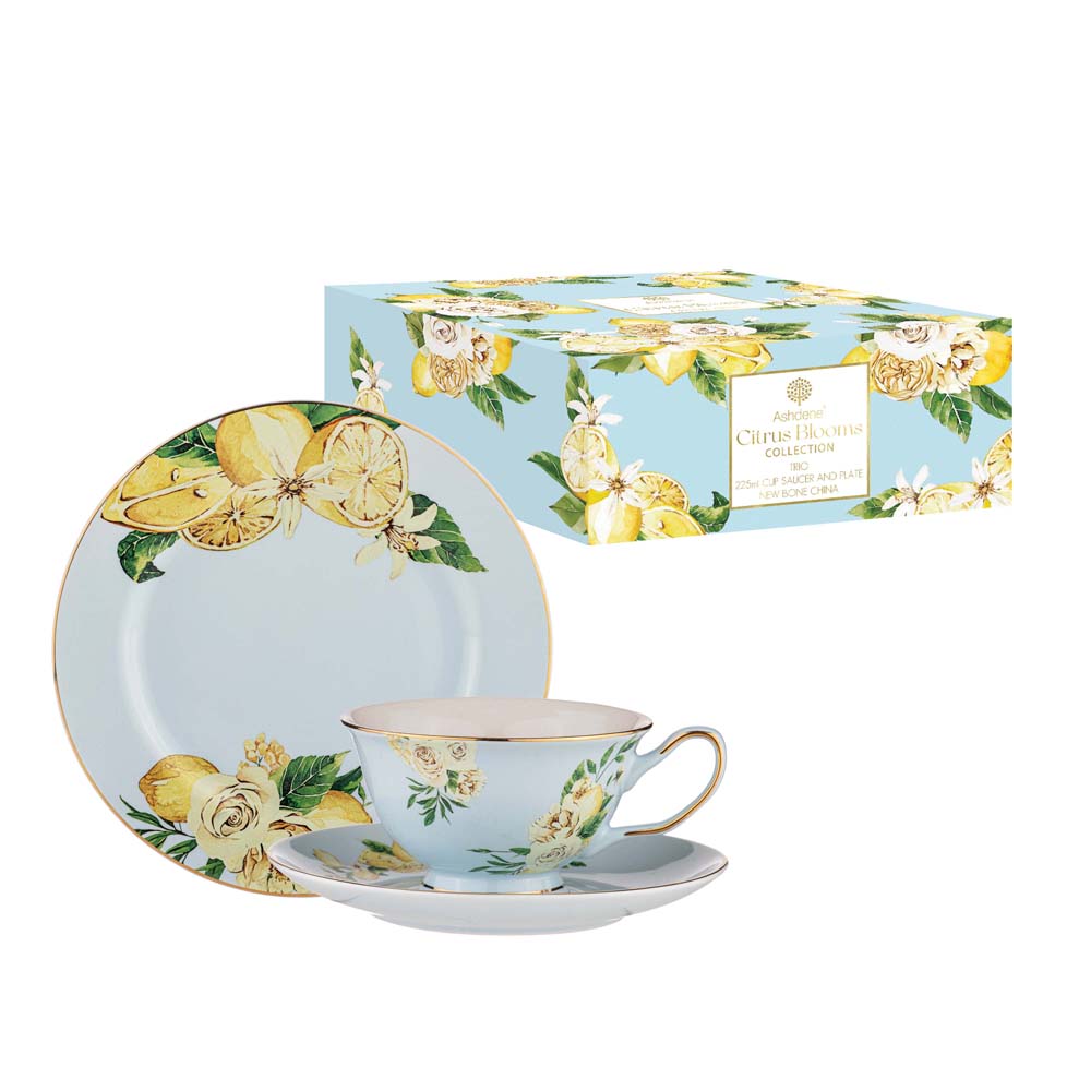 Ashdene Citrus Blooms Trio Cup Saucer & Plate Set