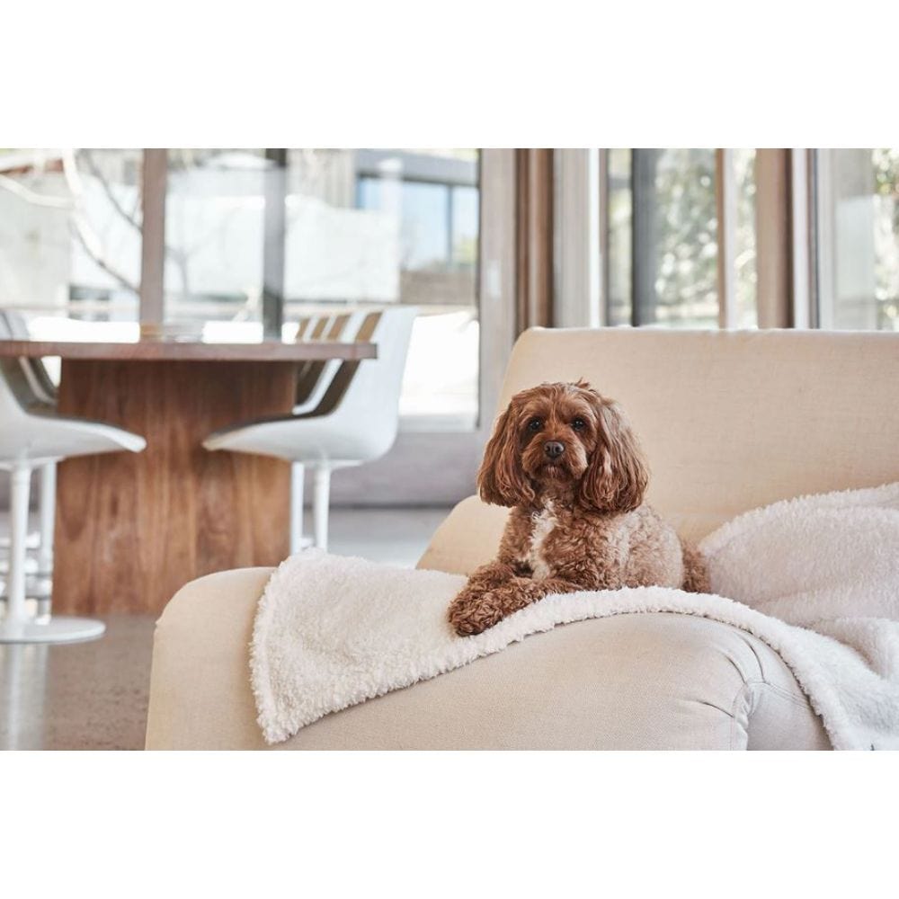 Snooza Woolly Natural Calming Dog Blanket